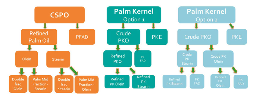 palm-trace/PalmTrace 3.jpg